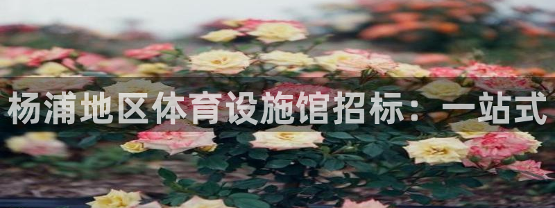 意昂体育3平台是正规平台吗