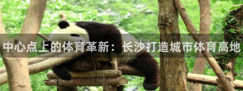 意昂体育3平台假的吗是真的吗