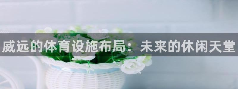 意昂体育3官方客服电话：威远的体育设施布局：未来的休闲天堂