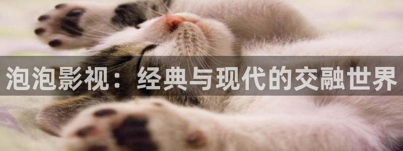 五五免费电影：泡泡影视：经典与现代的交融世界