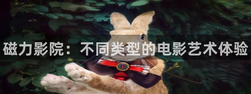 五五影视：磁力影院：不同类型的电影艺术体验