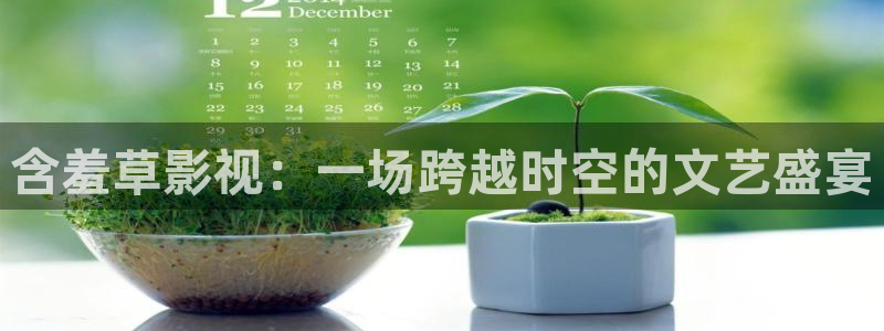 五五影视官方：含羞草影视：一场跨越时空的文艺盛宴