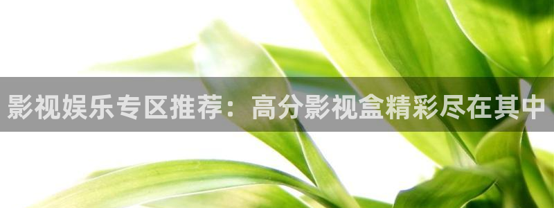 五五影院在线：影视娱乐专区推荐：高分影视盒精彩尽在其中