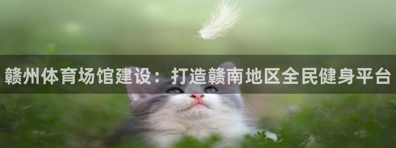 意昂3集团官网首页