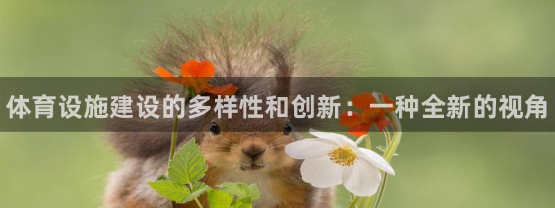 意昂体育3招商电话地址