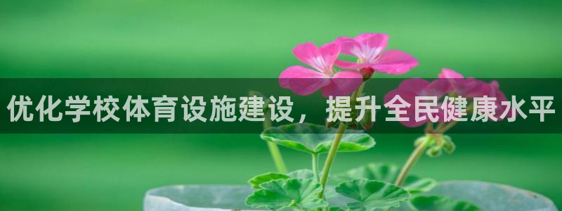 意昂体育3平台注册流程图