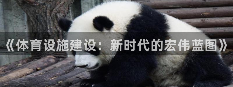 意昂3娱乐网站：《体育设施建设：新时代的宏伟蓝图》
