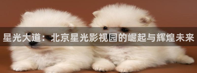 五五电影在线观看：星光大道：北京星光影视园的崛起与辉煌未来