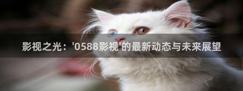 五五理论电影：影视之光：\'0588影视\'的最新动态与未来展望