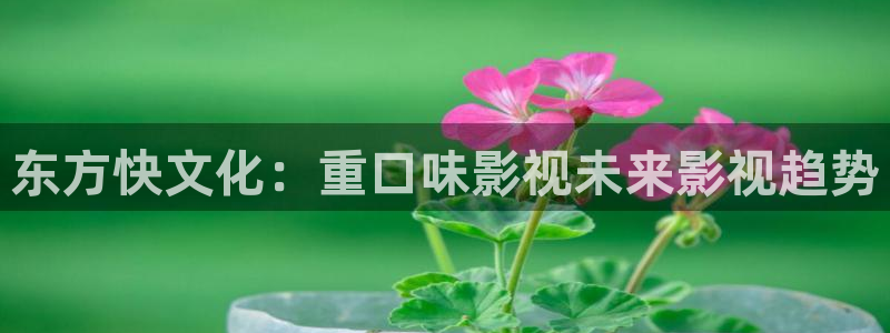 五五影视官方：东方快文化：重口味影视未来影视趋势