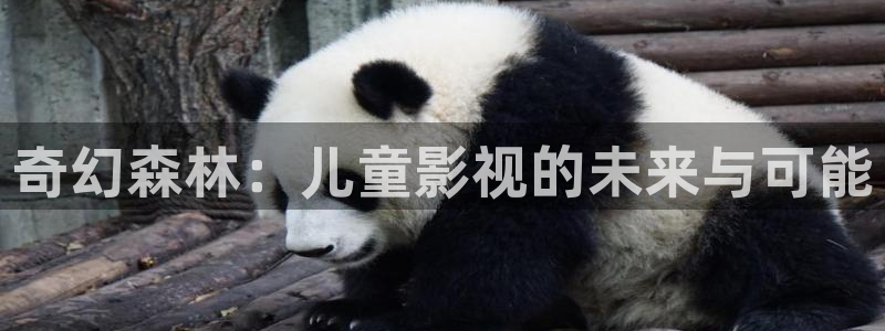 五五神马影院：奇幻森林：儿童影视的未来与可能
